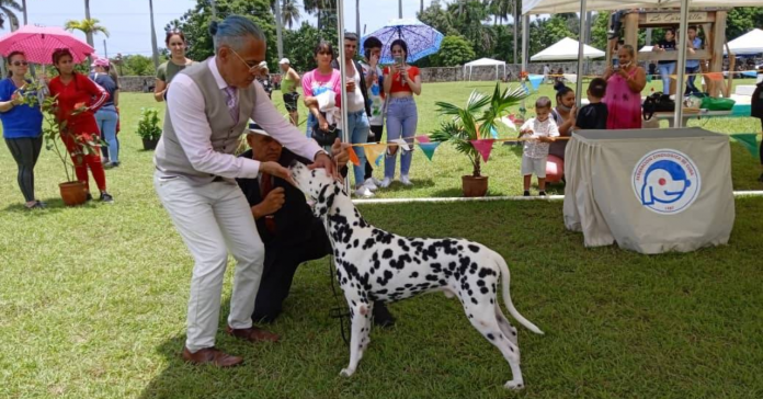 Cuba recibe 200 perros por Exposición Canina Internacional 2022