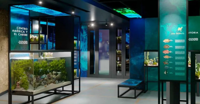 Inauguran un acuario privado en La Habana con hasta hasta 80 especies